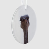 struisvogel ornament (voorkant)