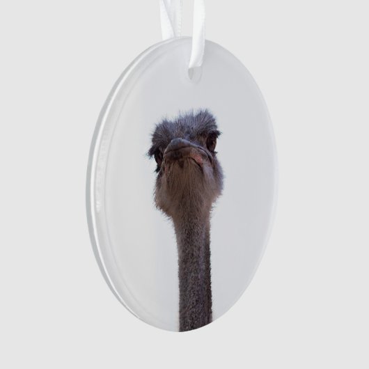 struisvogel ornament (voorkant)