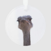 struisvogel ornament (achterkant)