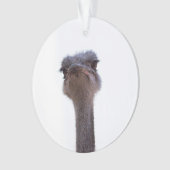 struisvogel ornament (voorkant)