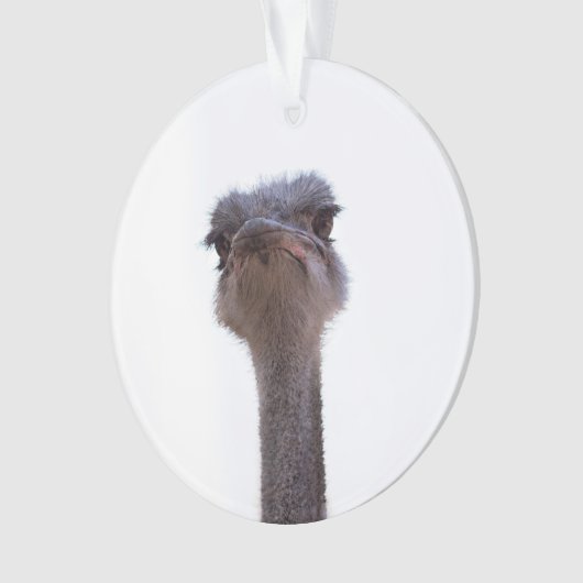 struisvogel ornament (voorkant)