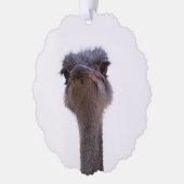 struisvogel ornament kaart (Links)