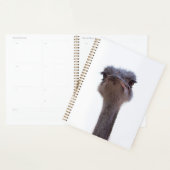 struisvogel planner (Display)