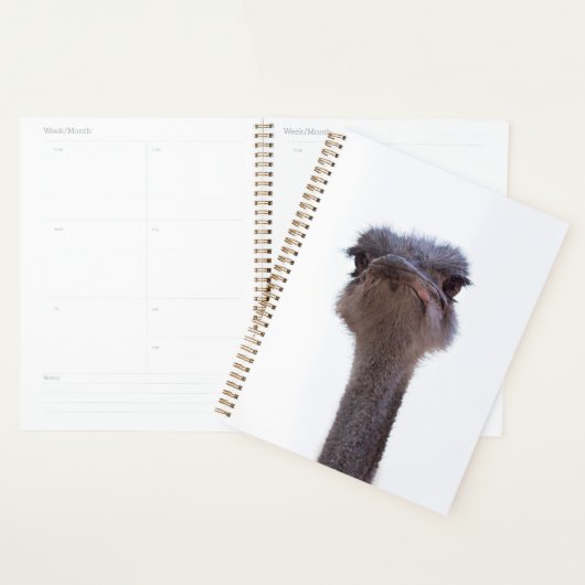 struisvogel planner (Display)