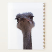 struisvogel planner (Achterkant)