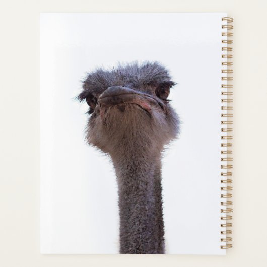 struisvogel planner (Achterkant)