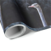 struisvogel portret cadeaupapier (Rol Hoek)