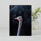 struisvogel portret folie uitnodiging (Staand Voorkant)
