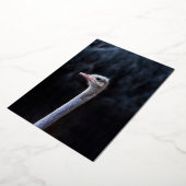 struisvogel portret folie uitnodiging (Gedraaid)