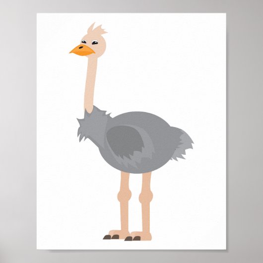 Struisvogel Poster (Voorkant)
