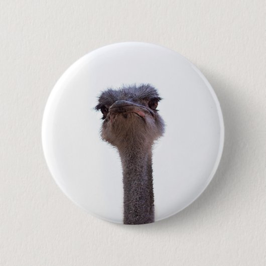 struisvogel ronde button 5,7 cm (Voorkant)