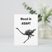 Struisvogel Running Cool Atleet Animal Art Briefkaart (Staand voorkant)