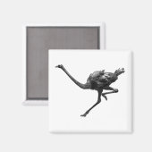 Struisvogel Running Cool Atleet Animal Art Magneet (Voorkant / Achterkant)