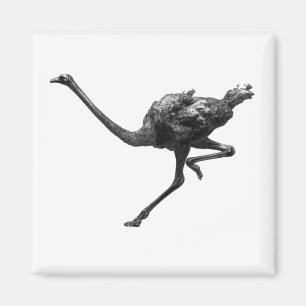 Struisvogel Running Cool Atleet Animal Art Magneet