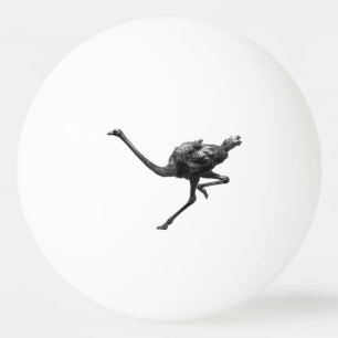 Struisvogel Running Cool Atleet Animal Art Pingpongbal
