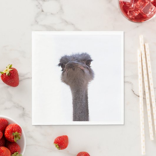 struisvogel servet (Insitu)