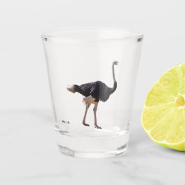 Struisvogel shotglas shot glas