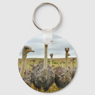 struisvogel sleutelhanger