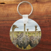 struisvogel sleutelhanger (Voorkant)