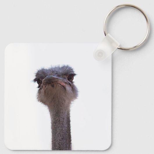 struisvogel sleutelhanger (Achterkant)