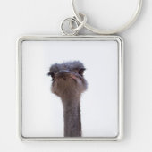 struisvogel sleutelhanger (Voorkant)