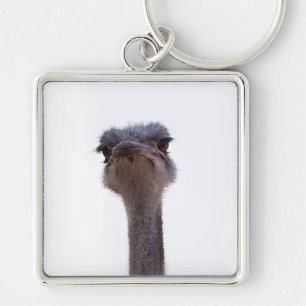 struisvogel sleutelhanger