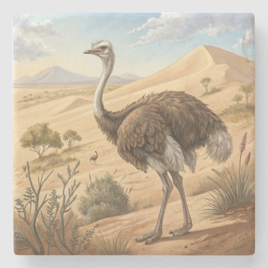 struisvogel stenen onderzetter (Voorkant)