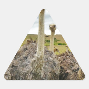 struisvogel sticker