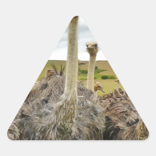 struisvogel sticker (Voorkant)