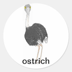 Struisvogel Stickers