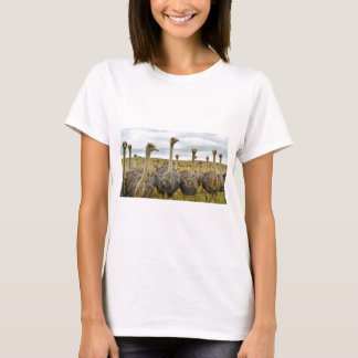 struisvogel t-shirt