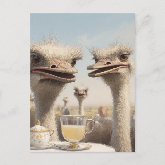 Struisvogel Theetijd Briefkaart (Voorkant)