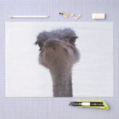 struisvogel tissuepapier (Craft)