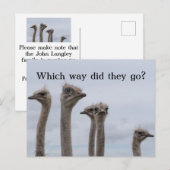 STRUISVOGEL VERWARRING VERHUISKAART AANKONDIGINGSKAART (Voorkant / Achterkant)