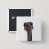 struisvogel vierkante button 5,1 cm (Voorkant /achterkant)