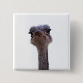 struisvogel vierkante button 5,1 cm (Voorkant)