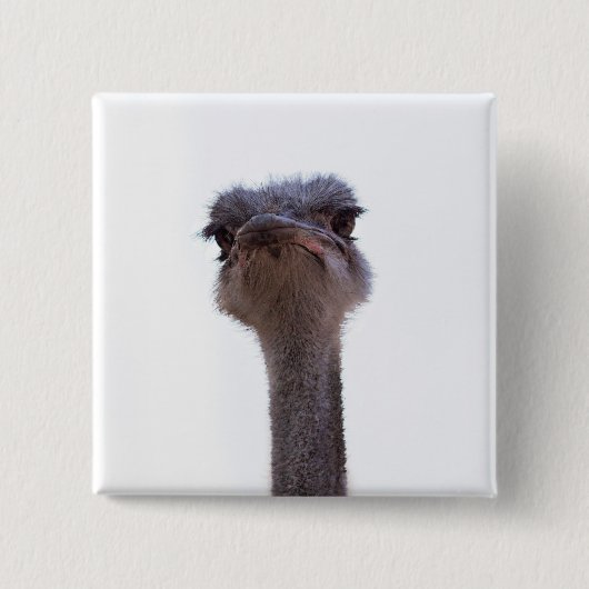 struisvogel vierkante button 5,1 cm (Voorkant)