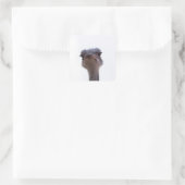 struisvogel vierkante sticker (Tas)