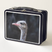 Struisvogelfotografie (Voorkant)