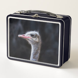 Struisvogelfotografie