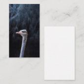Struisvogelfotografie Advieskaart (Voorkant / Achterkant)