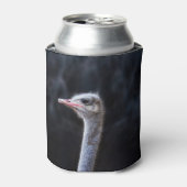 Struisvogelfotografie Blikjeskoeler (Blikje Voorkant)