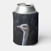 Struisvogelfotografie Blikjeskoeler (Blikje Achterkant)