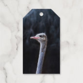 Struisvogelfotografie Cadeaulabels (Achterkant)