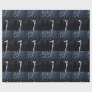 Struisvogelfotografie Cadeaupapier