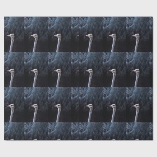Struisvogelfotografie Cadeaupapier (Zoom)