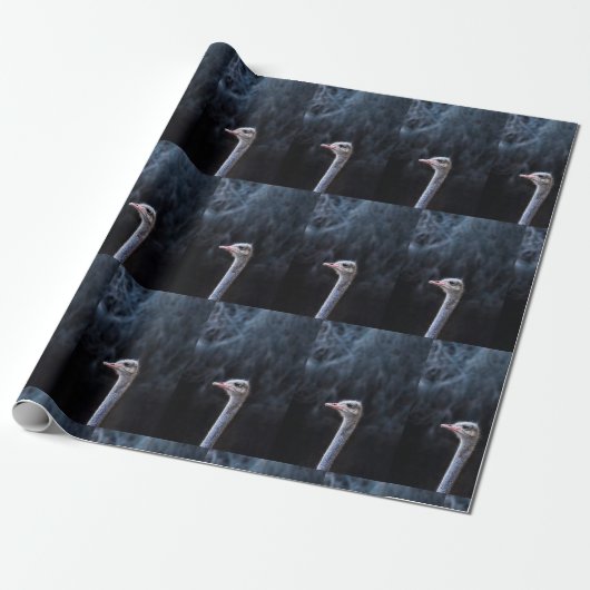 Struisvogelfotografie Cadeaupapier (Uitgerold)
