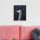 Struisvogelfotografie Canvas Afdruk (Insitu (Woonkamer))