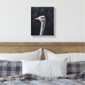 Struisvogelfotografie Canvas Afdruk (Insitu (Slaapkamer))