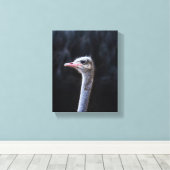 Struisvogelfotografie Canvas Afdruk (Insitu (Houten vloer))